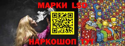 гидропоника Будённовск