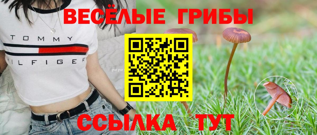 Галлюциногенные грибы GOLDEN TEACHER  Вход с VPN  Майкоп 